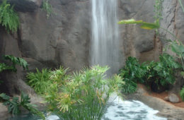 cascada artificial